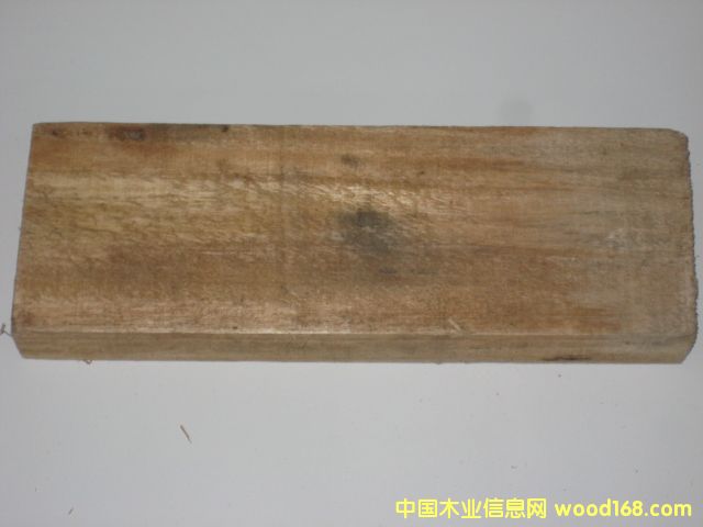 �����ף�FALCATA����Ԕ����B