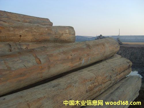 ��ľԭľ��Ԕ��(x��)��B