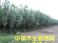 ���(sh��)��Ԕ��(x��)��B