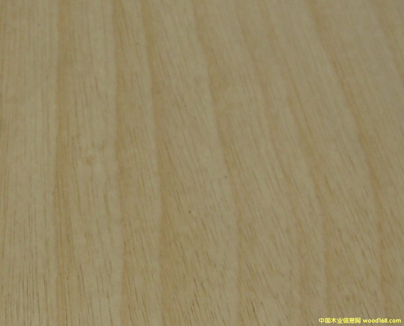 ������Ԕ��(x��)��B