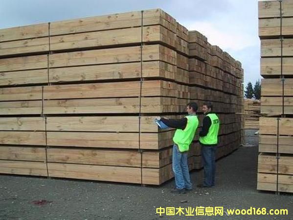 �����m�ɷ��ϣ�ݗ���ɣ���Ԕ��(x��)��B