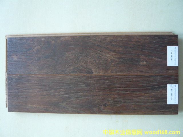 Autumn Oak�������ذ壩��Ԕ��(x��)��B