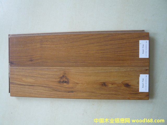 Royal Pine (�����ذ�)��Ԕ��(x��)��B