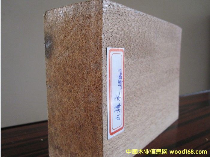 ɽ��ľ��Ԕ��(x��)��B