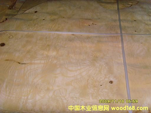 0.6��Ԫ��(sh��)��ľƤ��Ԕ��(x��)��B