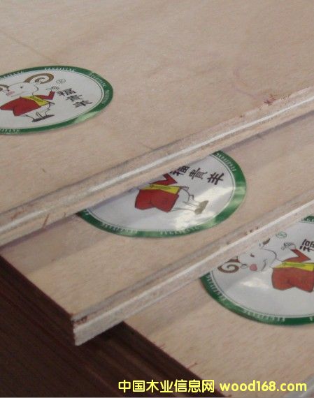 ���F��12MM���Ӱ�