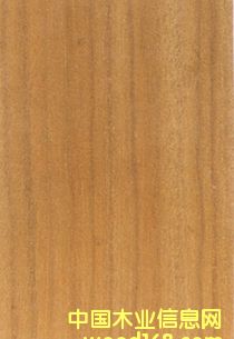 ��z�ֵ�Ԕ��(x��)��B