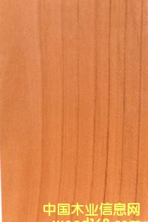 �����ɵ�Ԕ��(x��)��B