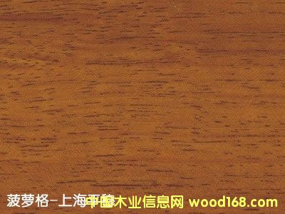 ���}���Ԕ��(x��)��B