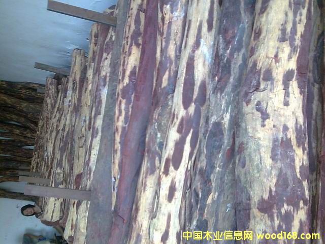 ӡ��С�~��̴ľ��Ԕ����B