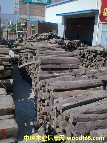 �ϓ��t��֦ľ��Ԕ����B