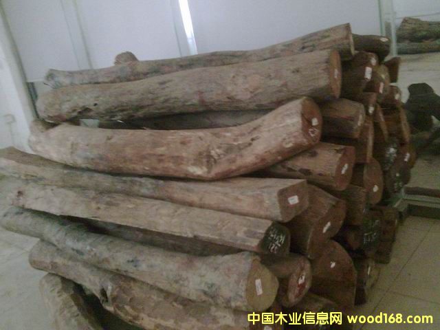 Խ���S����ľ��Ԕ����B