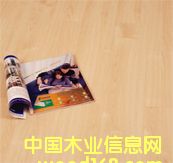 ����E1675 ���ô��ľ