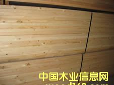 \�Fɼ��Ԕ��(x��)��B