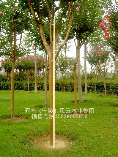 һ��Ʒ--ȫ�SƤ̫�O��Uʮ���U��Ϟ���U�L4.0��