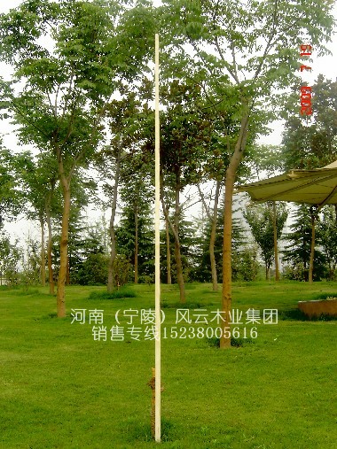 ����(y��ng)4.8��̫�O��U/���̫�Oʮ���U/���y(t��ng)��Ϟ��U ��Ԕ��(x��)��B