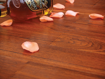 ɭ��֮�þ�����ľ�ذ塪���OƷɽ�y