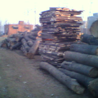 ��ͩľҎ(gu��)����Ԕ����B