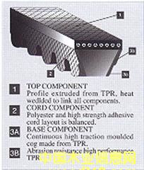 �M(j��n)�����ǎ���VECTORPOWER��(d��ng)�����ǎ������X���ǎ�