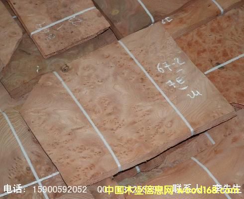 �����b��²ġ���ľƤ