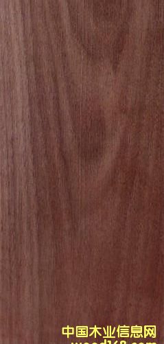 FSC�ں��ҵ�Ԕ��(x��)��B