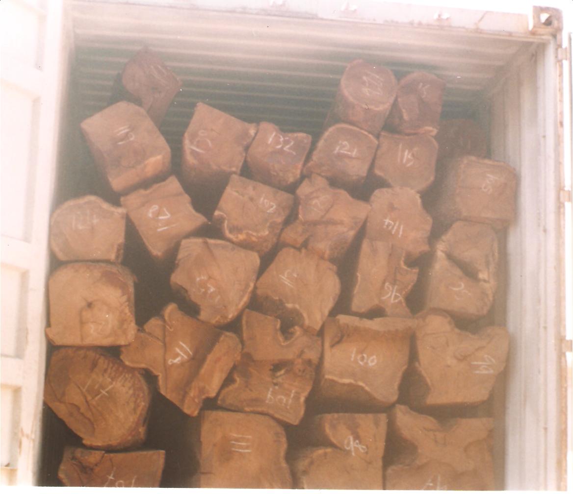 ���ǁ������Ԕ��(x��)��B