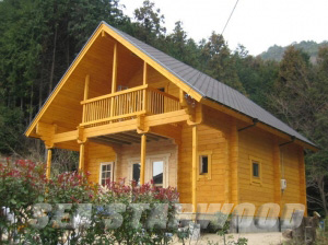 ���W����ľ�ݵ�Ԕ��(x��)��B