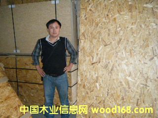 OSB��Ԕ��(x��)��B