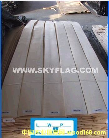 ľƤ���조ʮһ����(y��u)�݃r