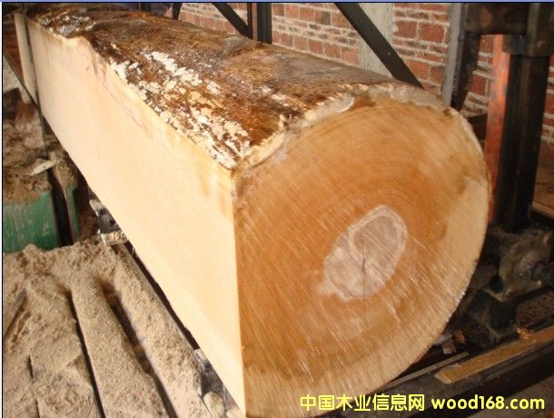 �W�ޙ�ľ��Ԕ����B