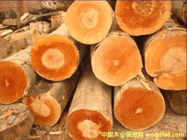 �W�ޙ�ľ��Ԕ����B