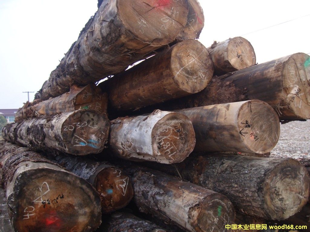 ���l(f��)���M(j��n)����ɼ���Fɼ