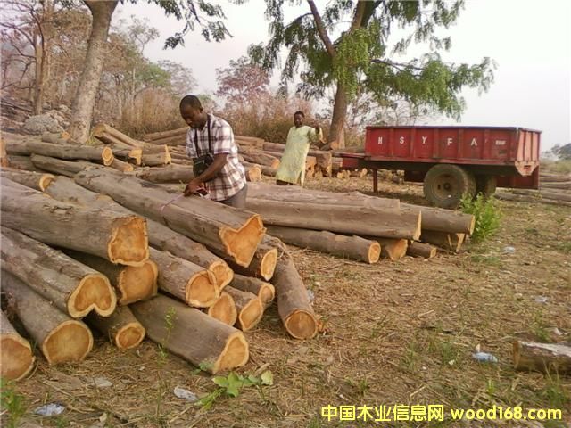 ���޼Ӽ{��ľ��teaks����Ԕ����B