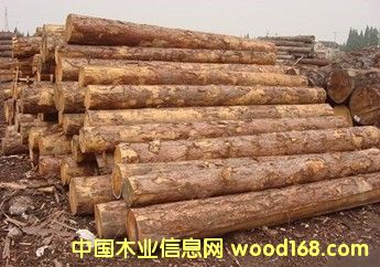 ����(y��ng)���_˹�M(j��n)�����~�ɵ�Ԕ��(x��)��B