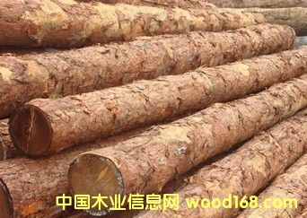 ����˹����ɼ�Fɼ��Ԕ��(x��)��B