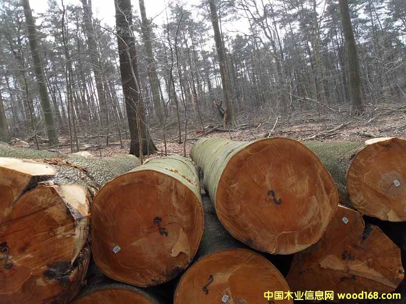 ��ľ䏲ĵ�Ԕ��(x��)��B