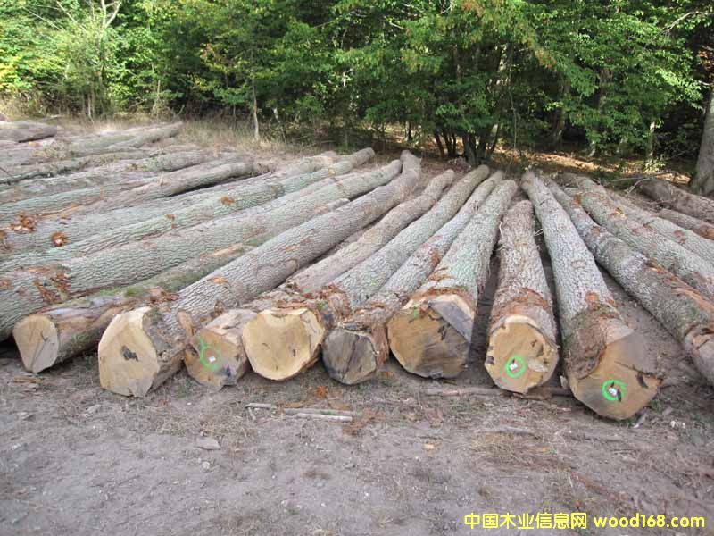 ����䏲ĵ�Ԕ��(x��)��B