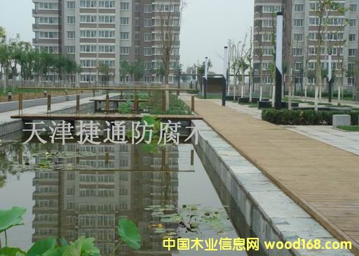 ���^����ľ��Ԕ��(x��)��B