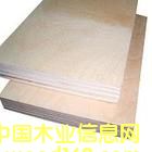 ��ľ�z�ϰ��Ԕ����B