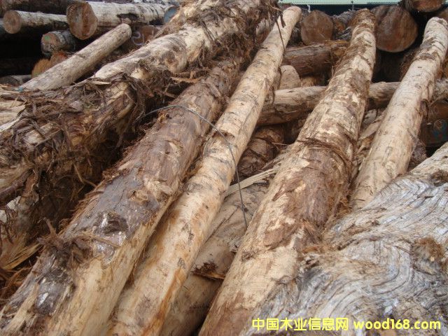 �S�uԭľ(���)