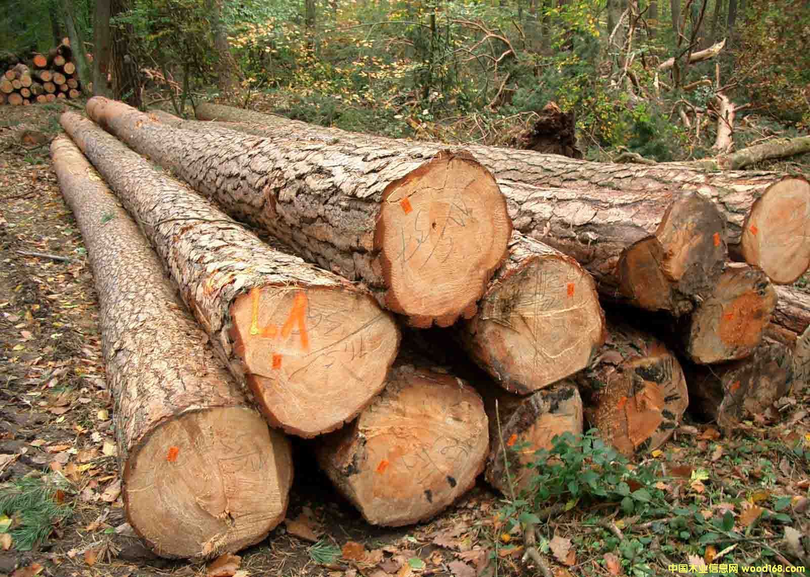 ���ɵ�Ԕ��(x��)��B