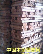 ��ľ�A����Ԕ��(x��)��B