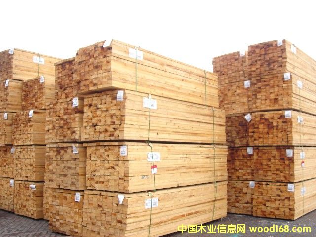 ��(x��)ľ����