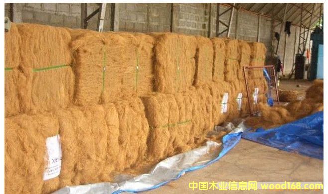 Ҭ�أ�Ҭ�z��