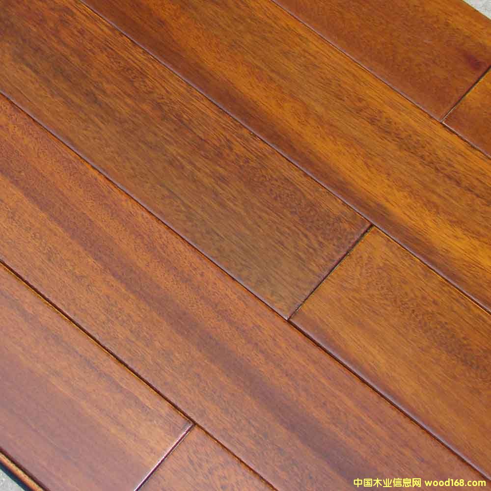 �A�P����(sh��)ľ�ذ�