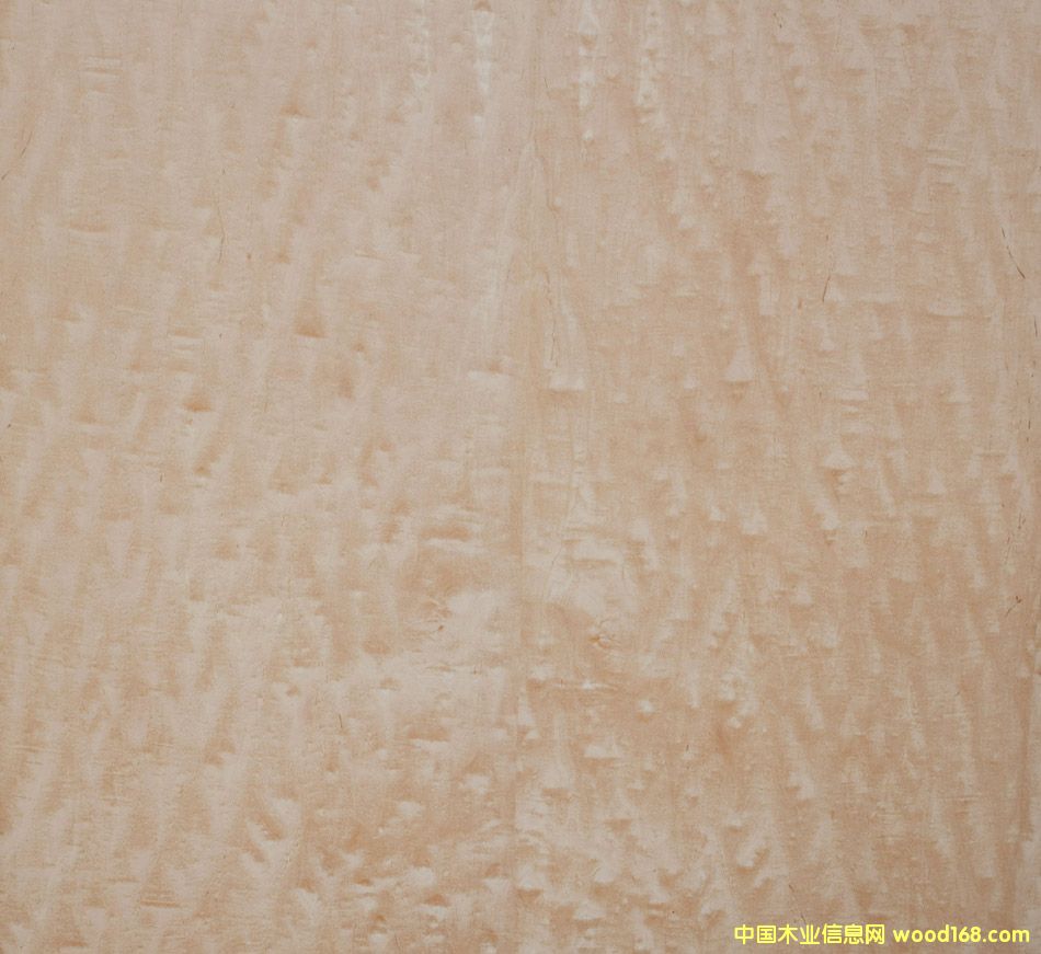 ��������Ԕ����B