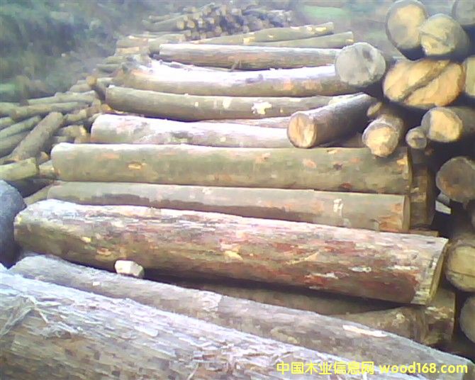 �ӹ��S��(sh��)����Ԕ��(x��)��B