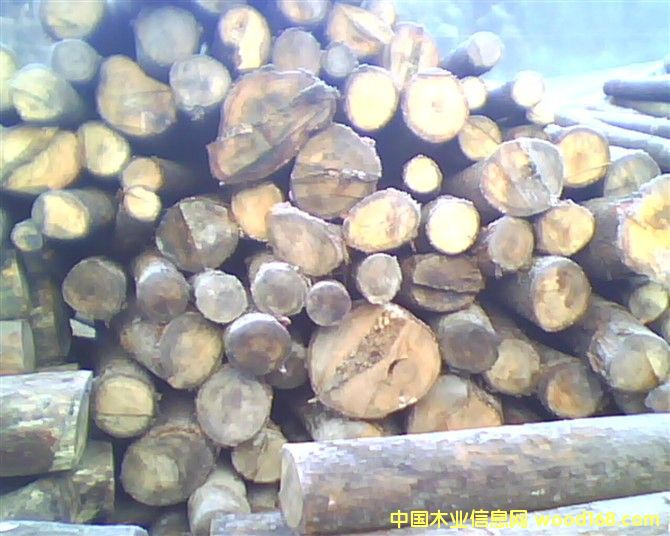 �ӹ��S��(sh��)����Ԕ��(x��)��B