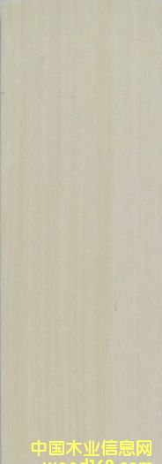 ֱ�y��ľ��Ԕ��(x��)��B