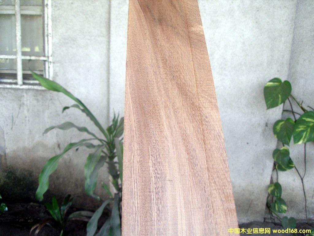 ��ľ��ĵ�Ԕ��(x��)��B